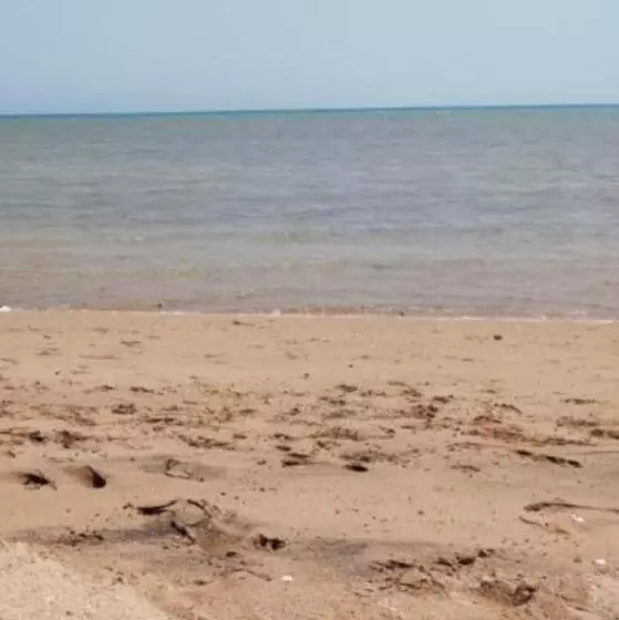 منتجع طيبه فيو
