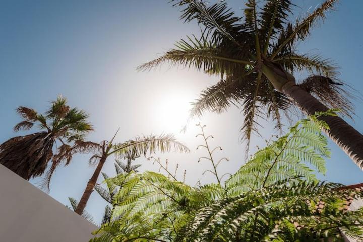 تختخواب و صبحانه Superb Sea View