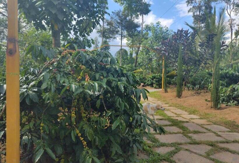 فندق Farm Stay A Coffee Estate Stay