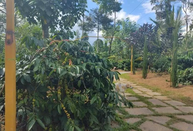 ホテル Farm Stay A Coffee Estate Stay