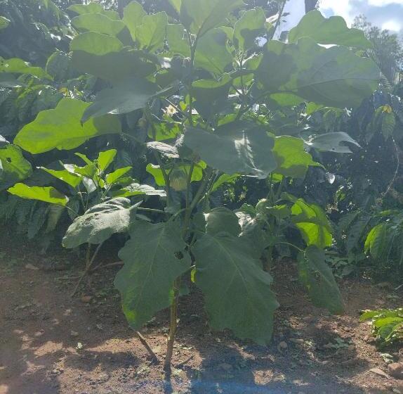 فندق Farm Stay A Coffee Estate Stay