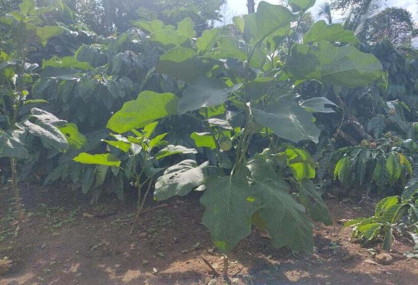 فندق Farm Stay A Coffee Estate Stay
