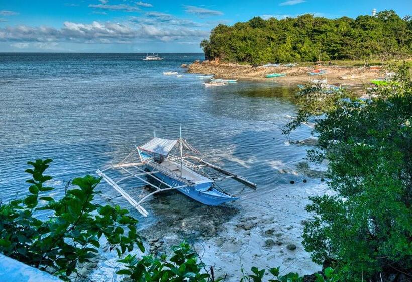 ホテル Pilar Pilapil Beach Resort