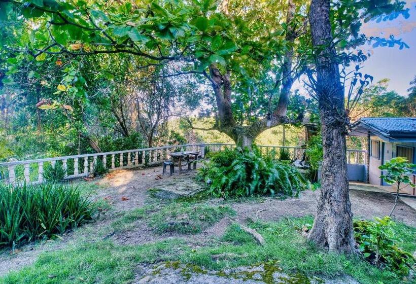 ホテル Pilar Pilapil Beach Resort