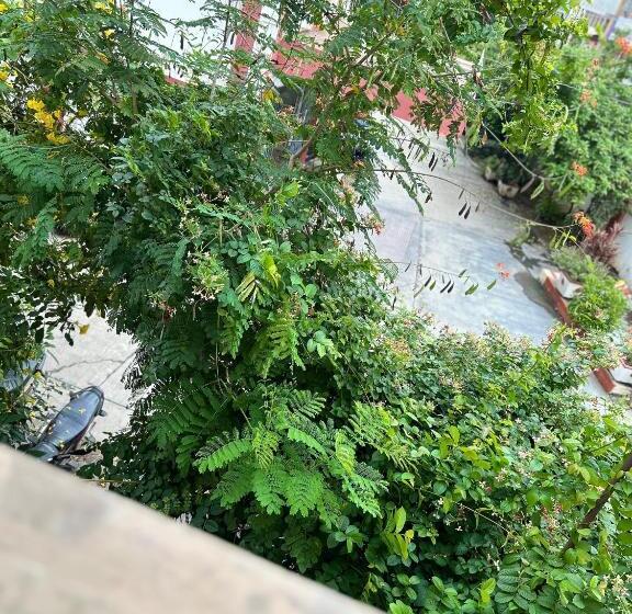 Hotel O Rj Royal Inn