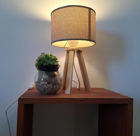 Pension Hostal El Soleado