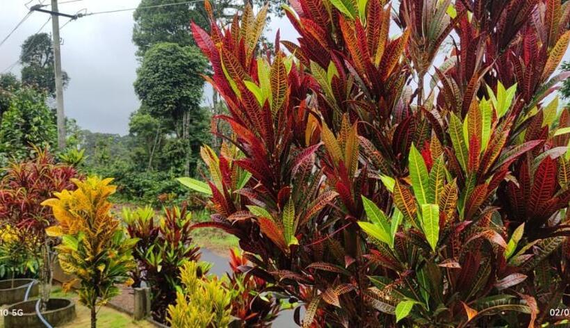 膳宿费 Nithin Homestay, 3 Bedrooms And 1 Living Room