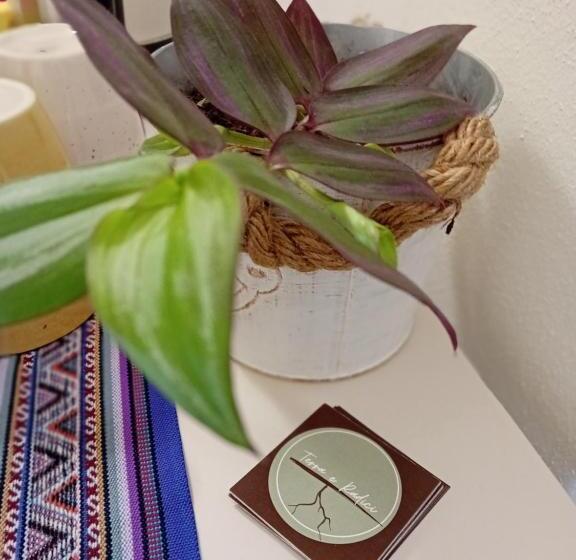 Pensjonat Terra E Radici_castanea