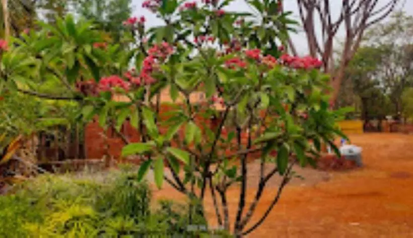 Tarangan Resort Chiplun