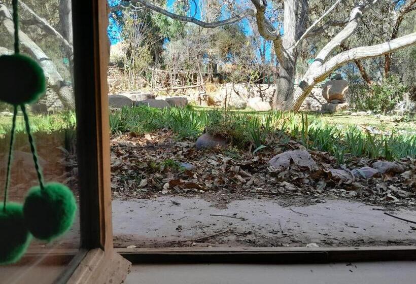 호스텔 La Casa Del Indio