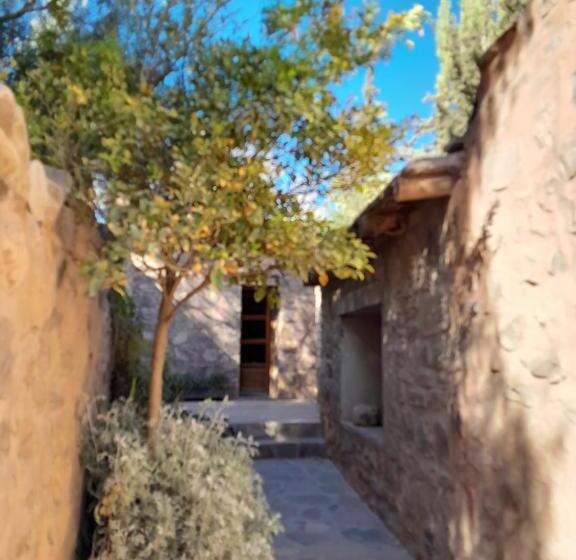 호스텔 La Casa Del Indio