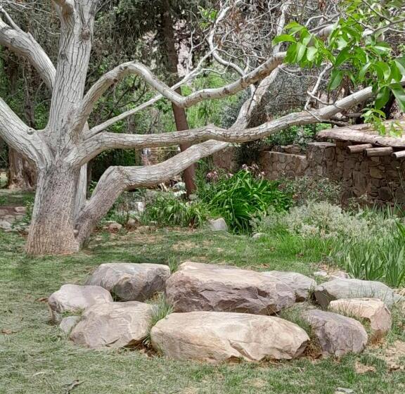 호스텔 La Casa Del Indio