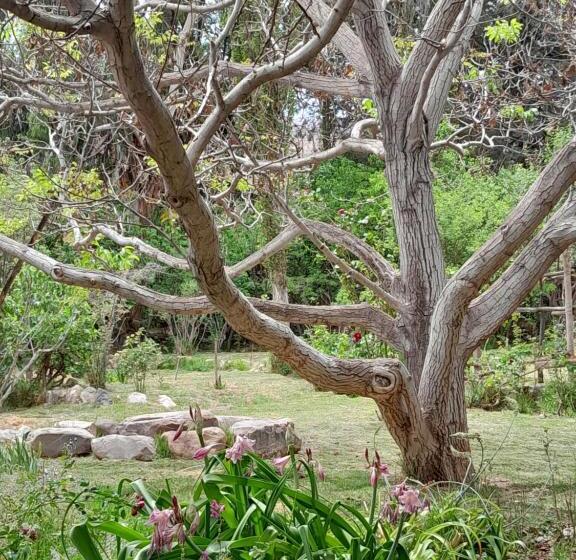 호스텔 La Casa Del Indio