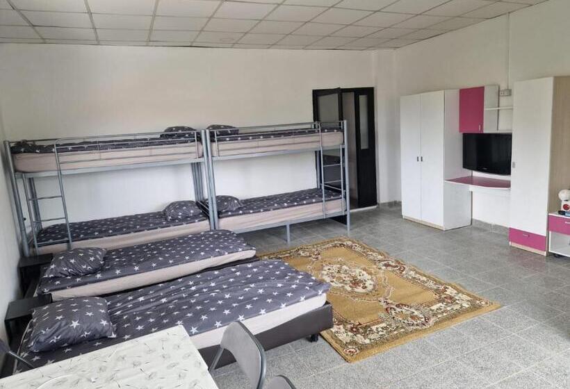 ユースホステル Vasile Carlova