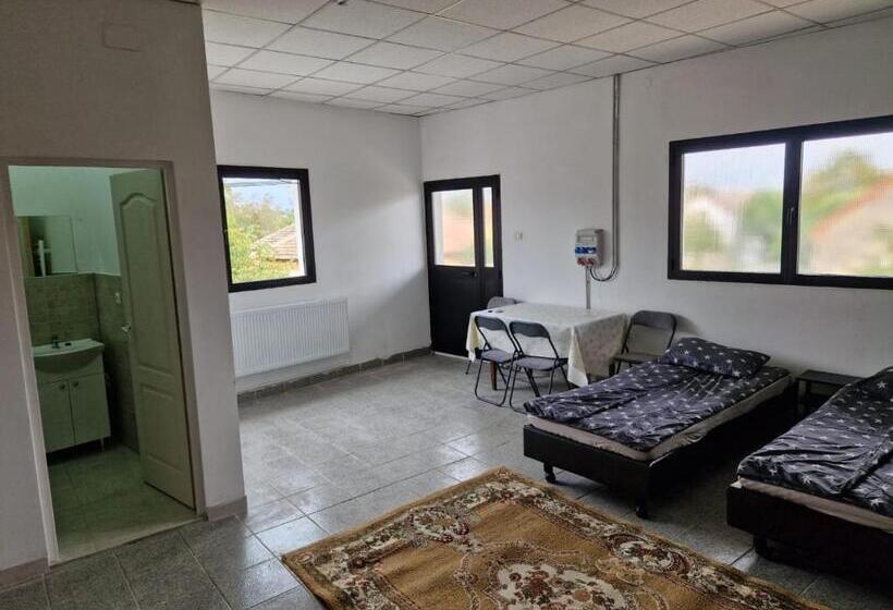 旅馆 Vasile Carlova