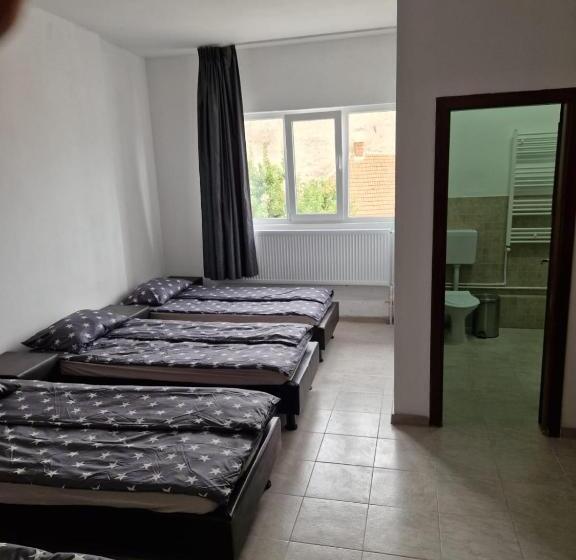 ユースホステル Vasile Carlova