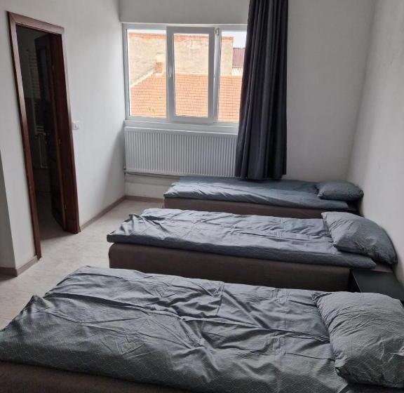 ユースホステル Vasile Carlova