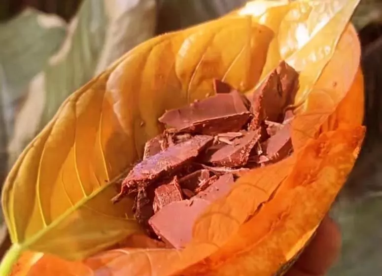 Aamiaismajoitus (B&B) Cacahua Paradise Lodge, Río Celeste