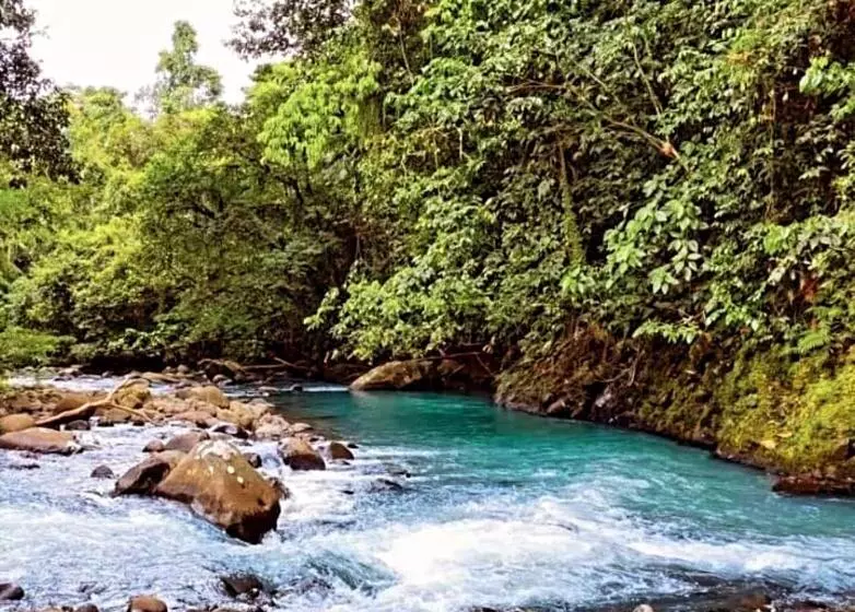 Aamiaismajoitus (B&B) Cacahua Paradise Lodge, Río Celeste