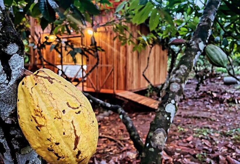 住宿加早餐  Cacahua Paradise Lodge, Río Celeste