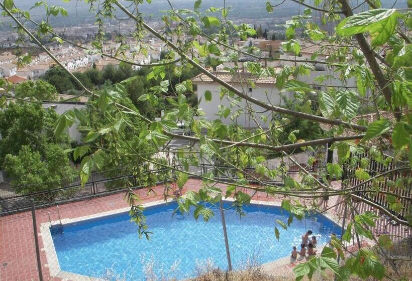 Comfortable Single Bluing Room B&b