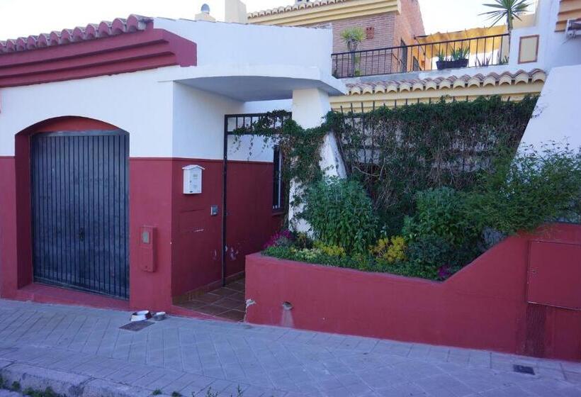 Comfortable Single Bluing Room B&b