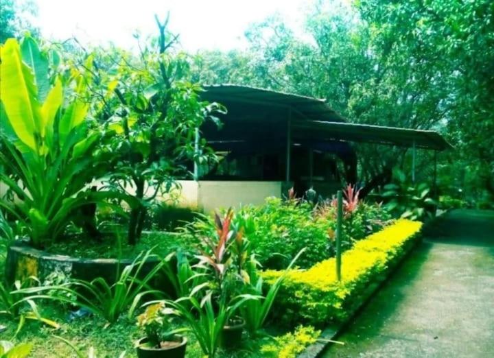 בית מלון כפרי Hill View Resort With Swimming Pool