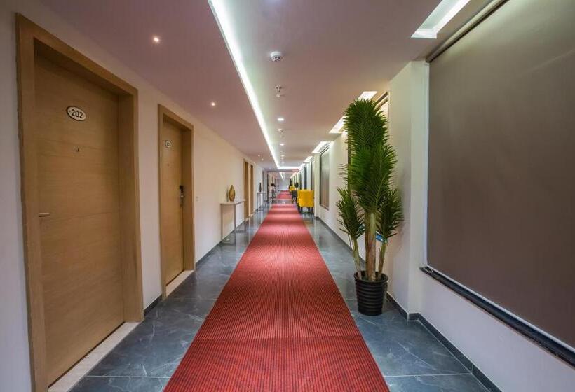 酒店 Midori Vithalapur