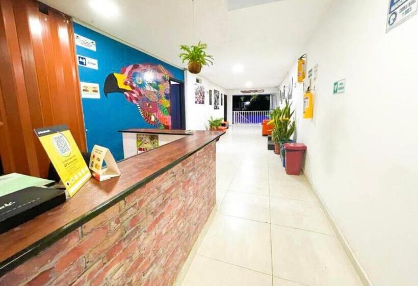 Szálloda Tradicional Villeta