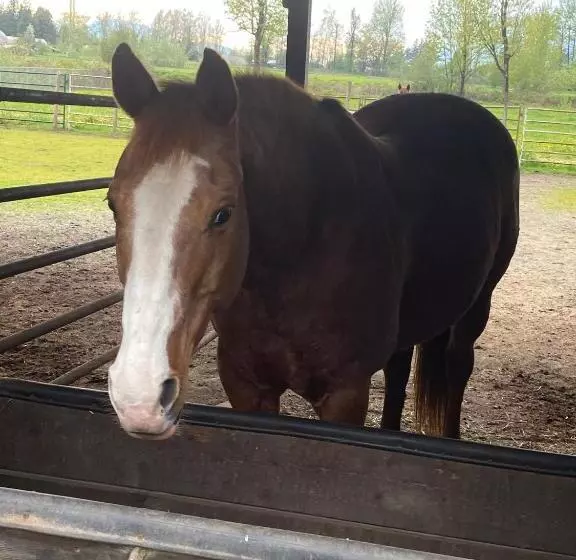 ペンション Farm House   L&s Farms