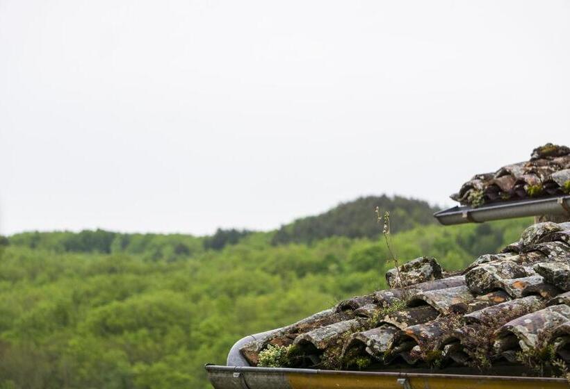 ペンション Tenute Valerio