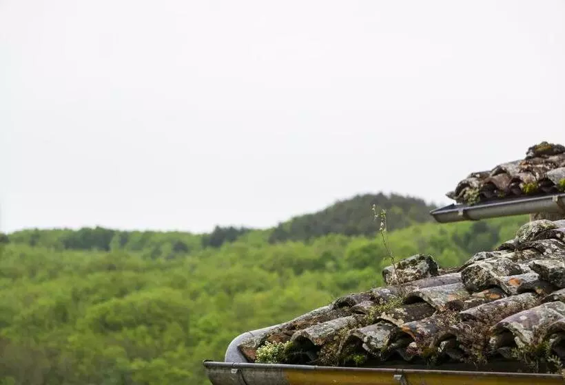 ペンション Tenute Valerio