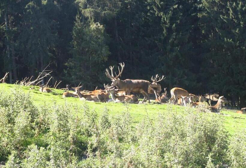 Aparthotel Garni Monte