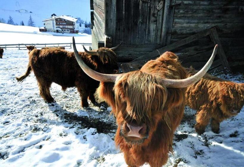 Aparthotel Garni Monte