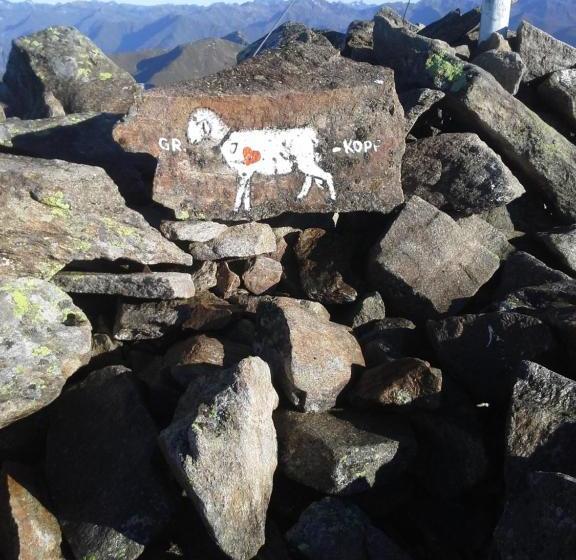 בית מלון כפרי Apart Sunnbichl