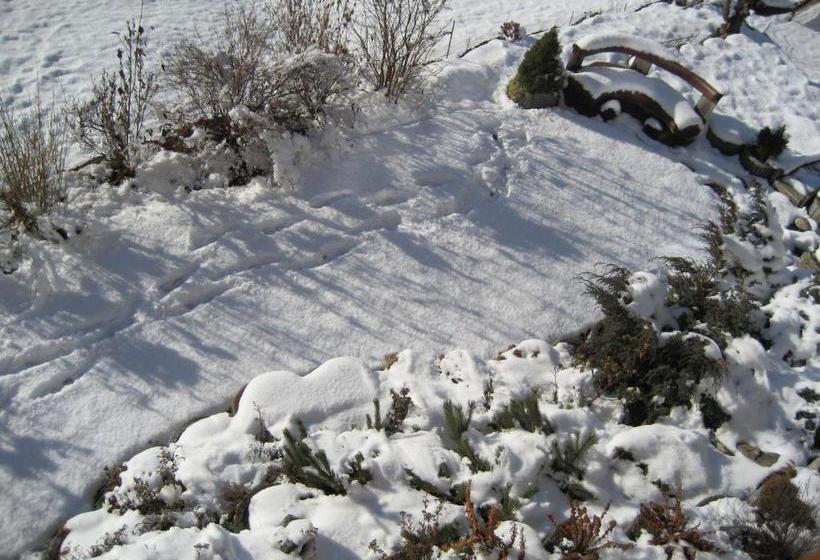 בית מלון כפרי Apart Sunnbichl