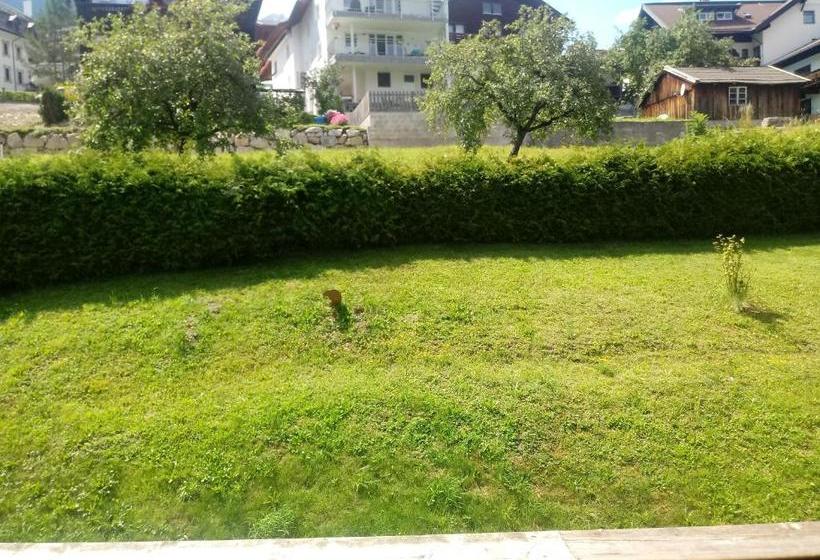 Отель Appartementhaus Untere Tanne