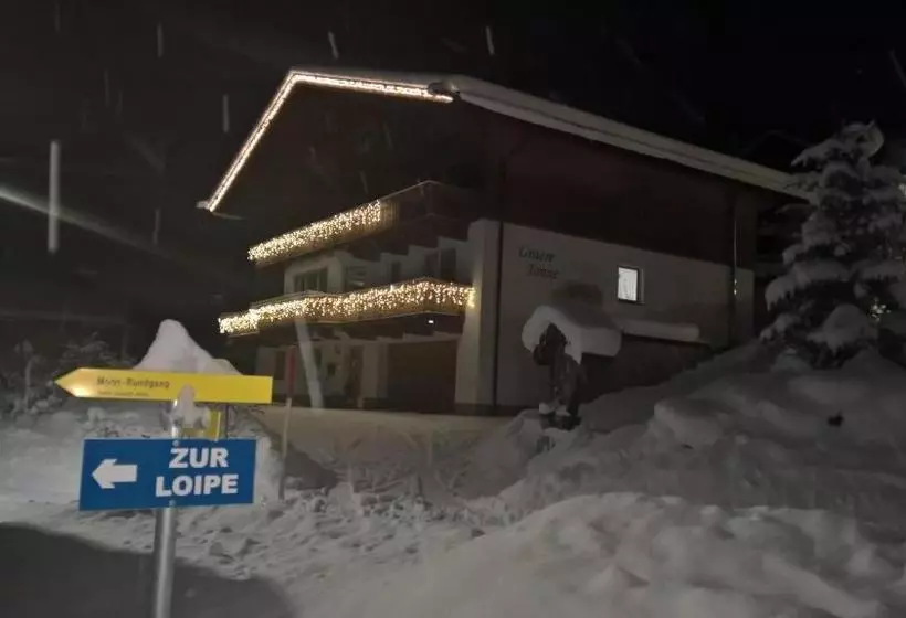 هتل Appartementhaus Untere Tanne