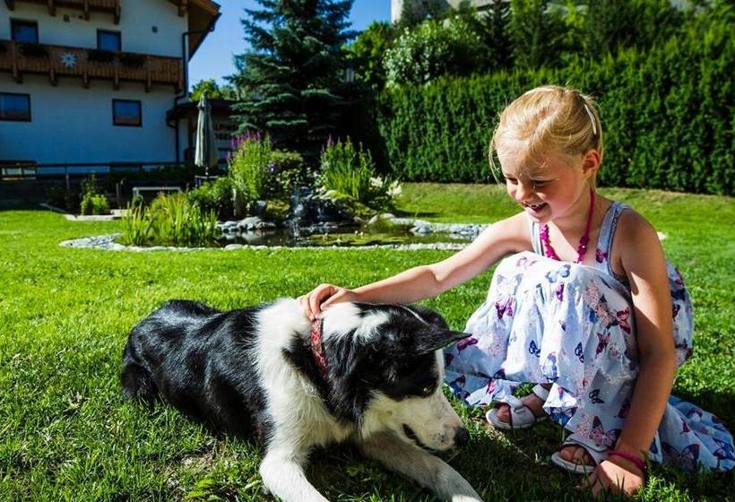 فندق Appartements Bellevue