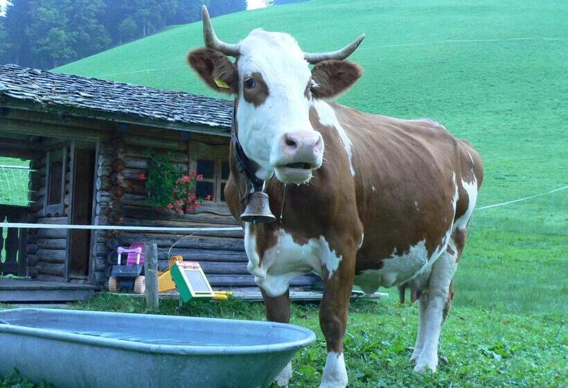 فندق Biobauernhof Windbachgut