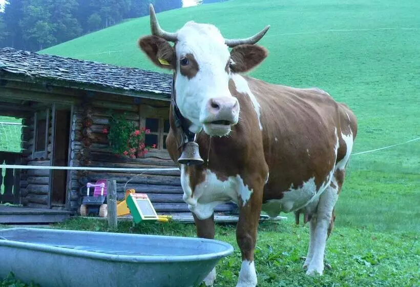 ホテル Biobauernhof Windbachgut