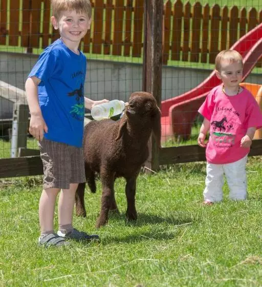 ホテル Feriendorf Ponyhof