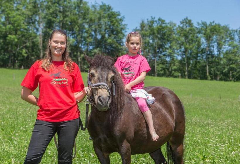 Отель Feriendorf Ponyhof