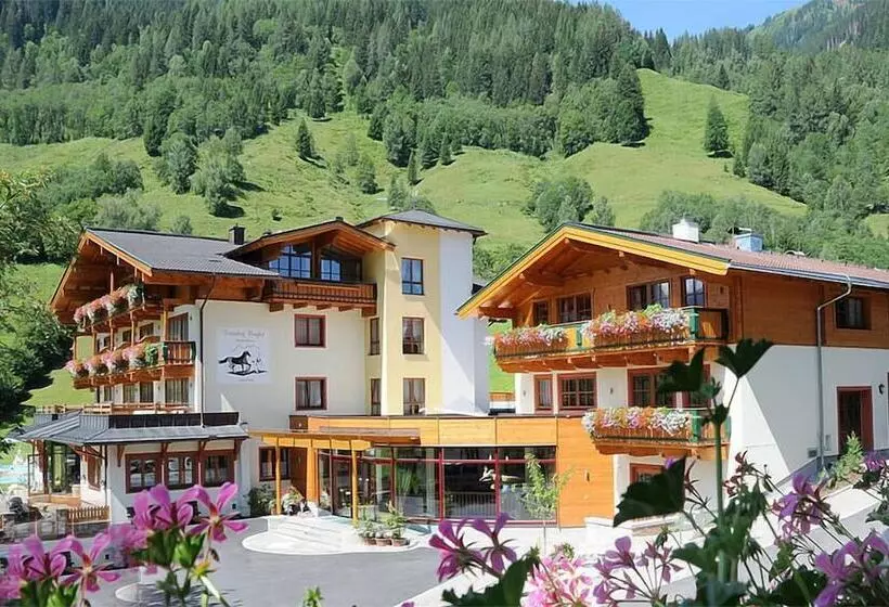 ホテル Feriendorf Ponyhof