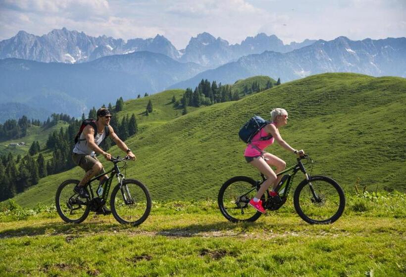 Отель Pension Hüttwirt