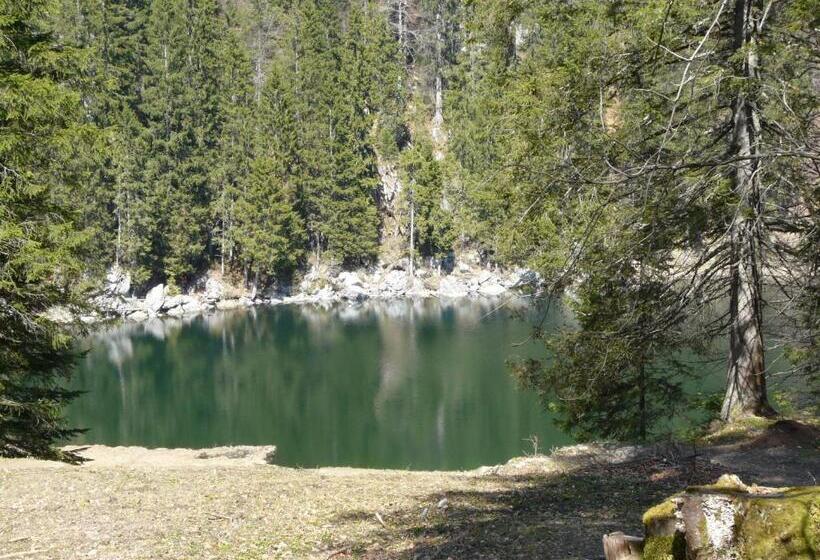 Отель Pension Hüttwirt