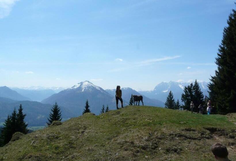 Отель Pension Hüttwirt