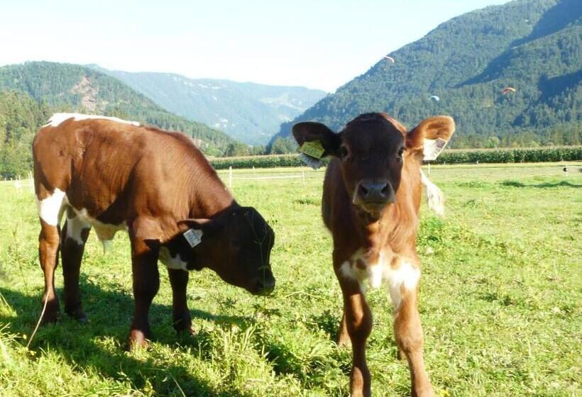 Отель Pension Hüttwirt