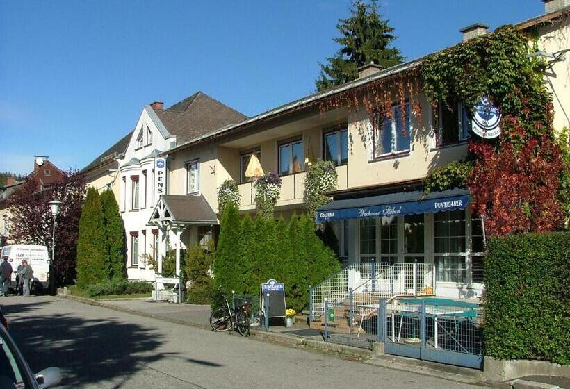 فندق Pension Wachau