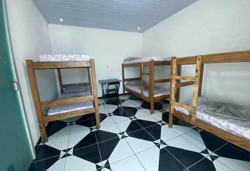 هاستل Conexão 021